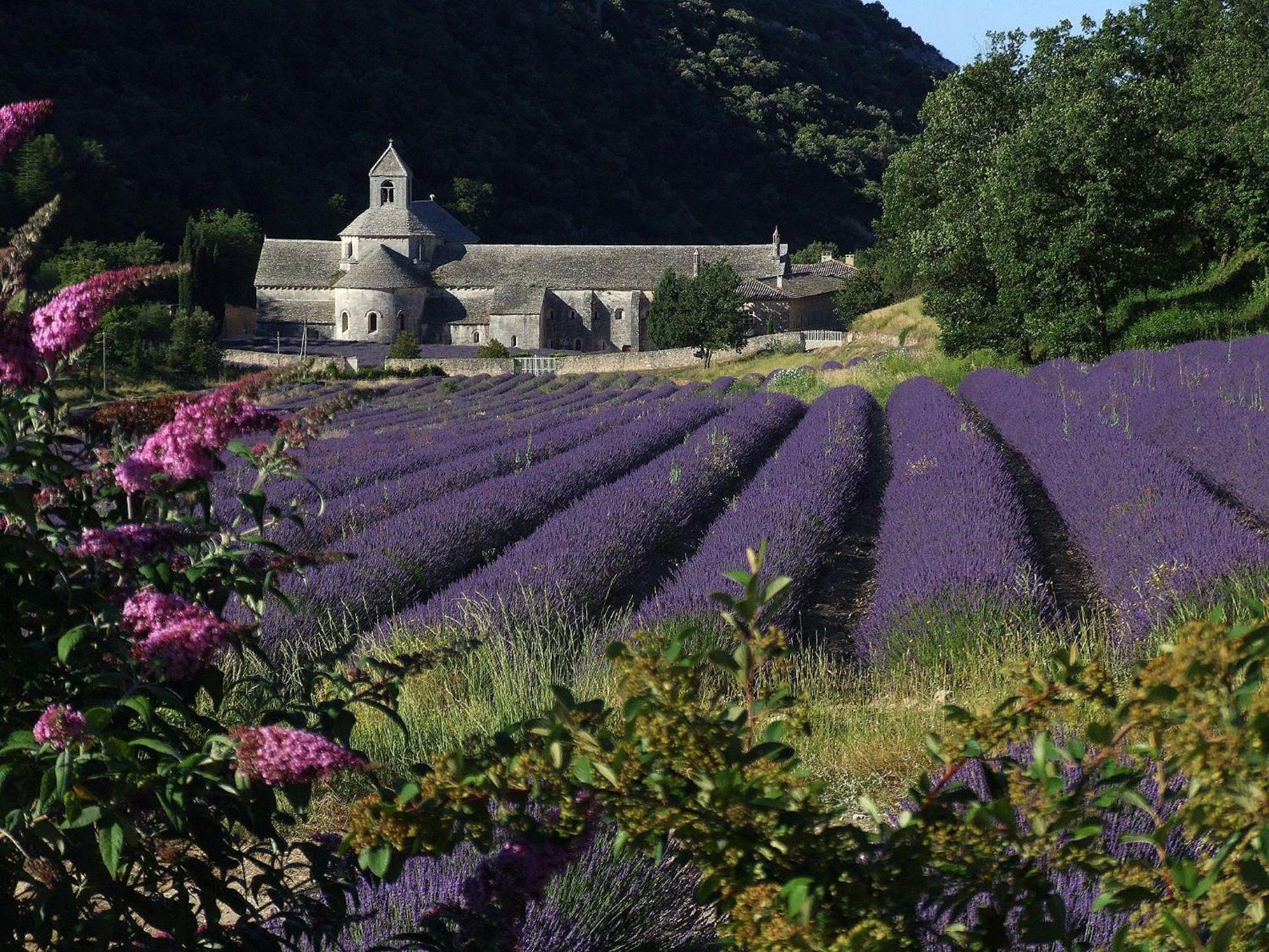 La Calvinette Villa Pernes-les-Fontaines Exterior photo